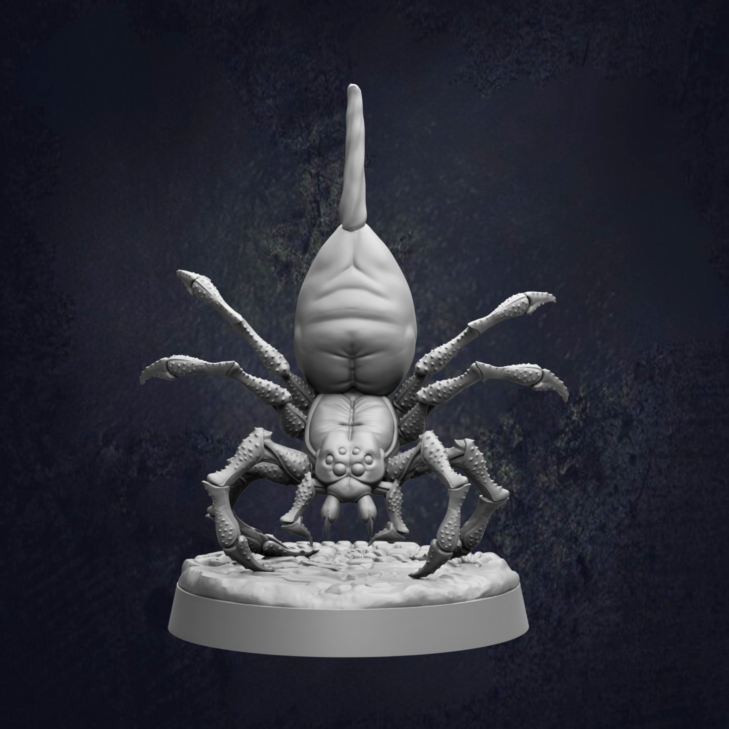 A detailed 3D model of a spider with eight legs and a long, curved tail, set against a dark background.