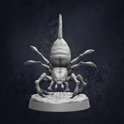 A detailed 3D model of a spider with eight legs and a long, curved tail, set against a dark background.