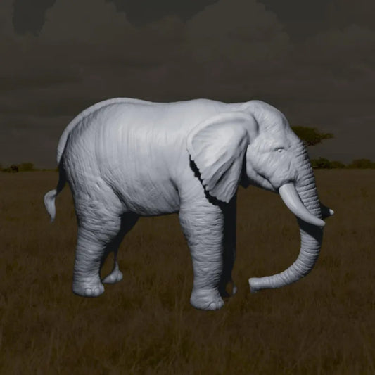 Elephant