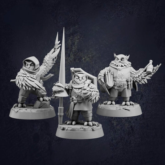 Owlfolk Allies