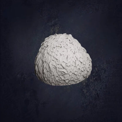 Woodland Starter Pack