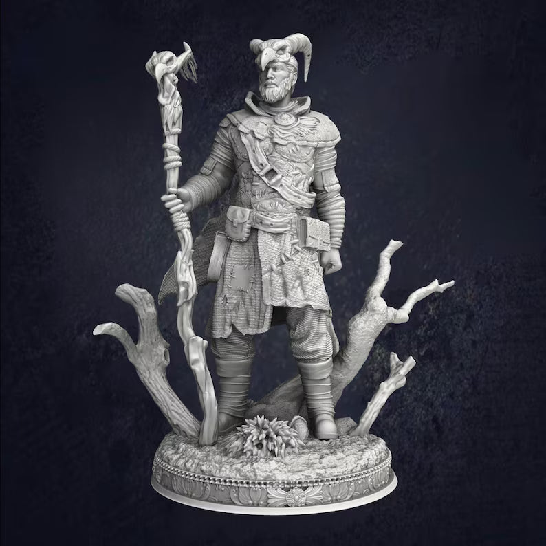 Male Forest Druid Noranor