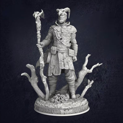 Male Forest Druid Noranor