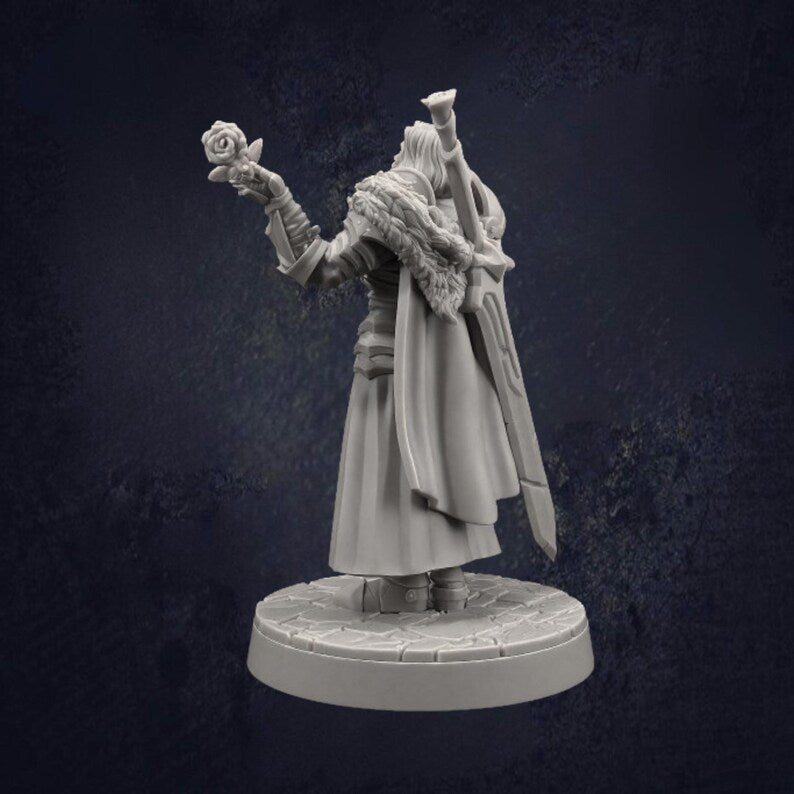 Male Paladin Sir Smugshine - The Print Tavern D&D RPG Miniature