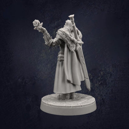 Male Paladin Sir Smugshine - The Print Tavern D&D RPG Miniature