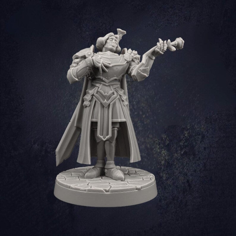 Male Paladin Sir Smugshine - The Print Tavern D&D RPG Miniature