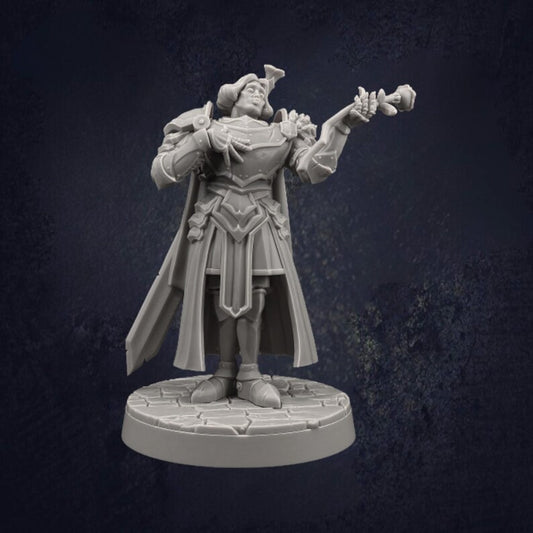 Male Paladin Sir Smugshine