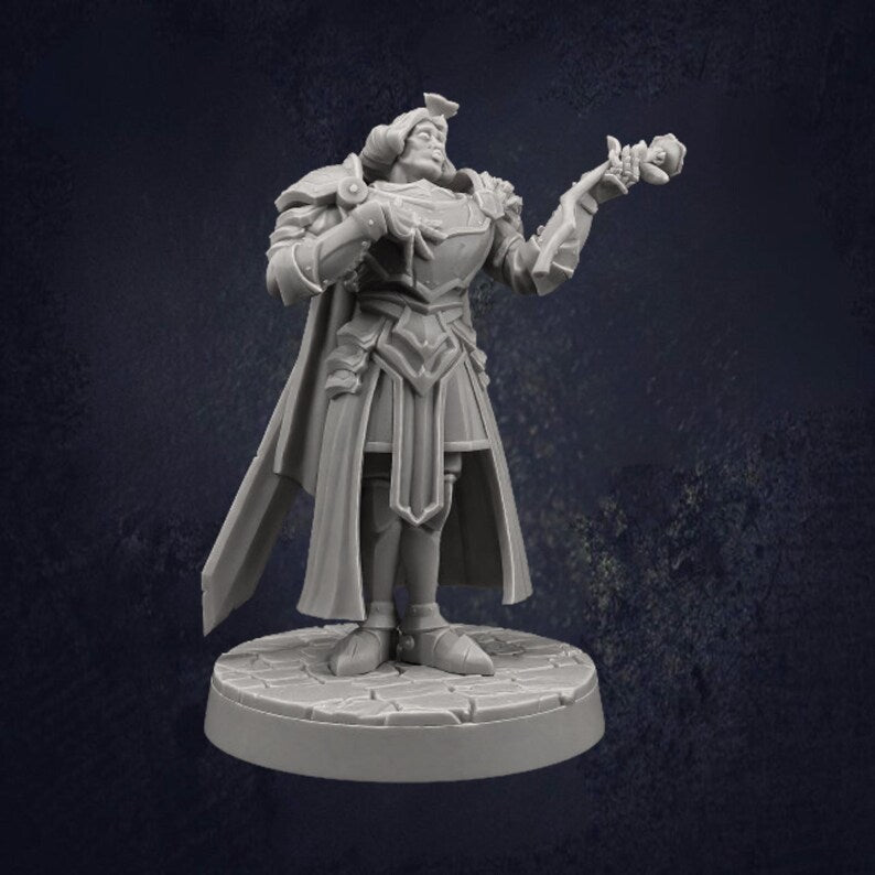 Male Paladin Sir Smugshine - The Print Tavern D&D RPG Miniature