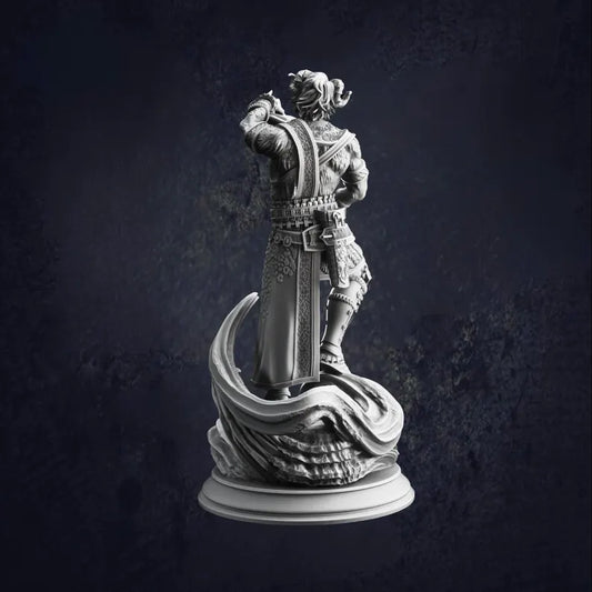 Heron of Daronai - The Print Tavern D&D RPG Miniature