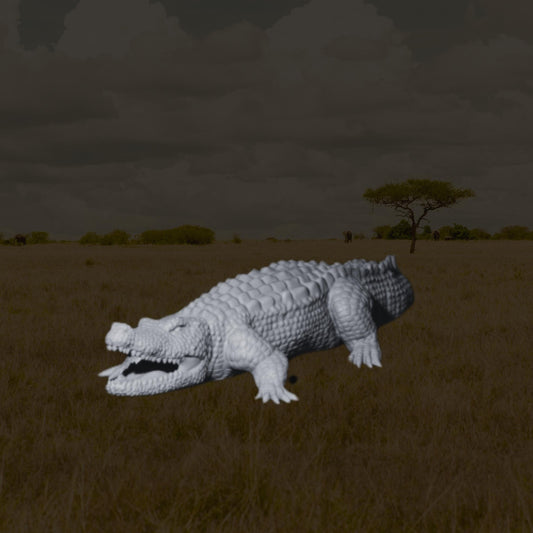 Crocodile