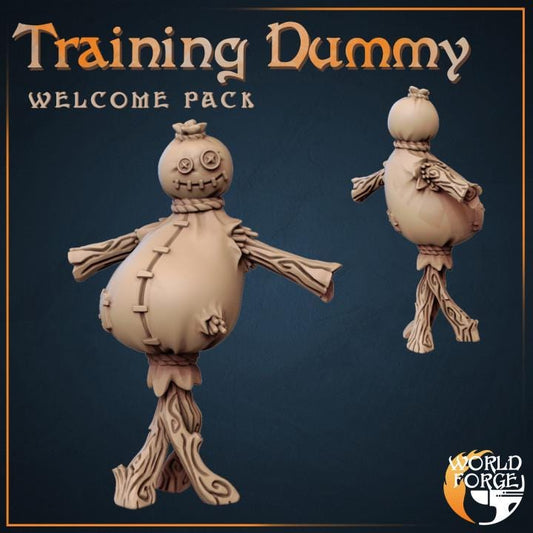 Training Dummy